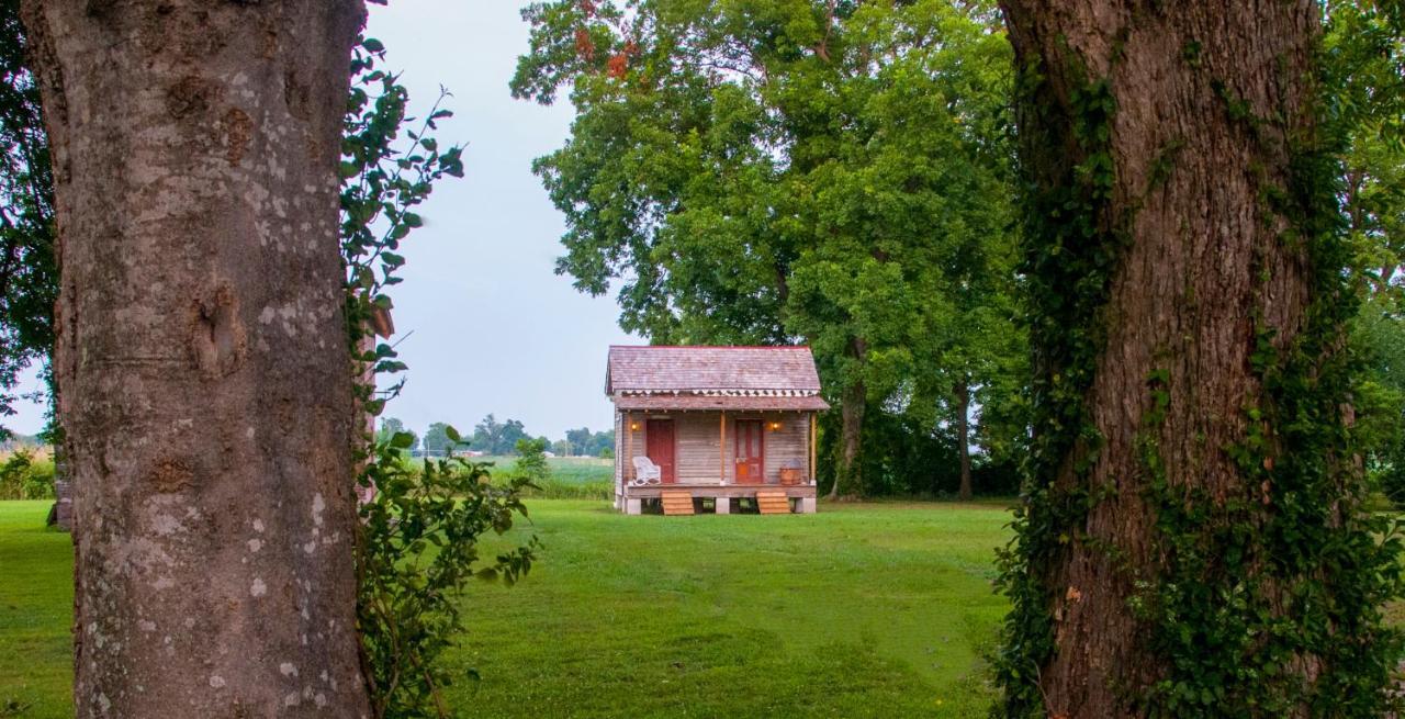 Belmont Plantation, Est 1857 Bed & Breakfast Greenville Ngoại thất bức ảnh